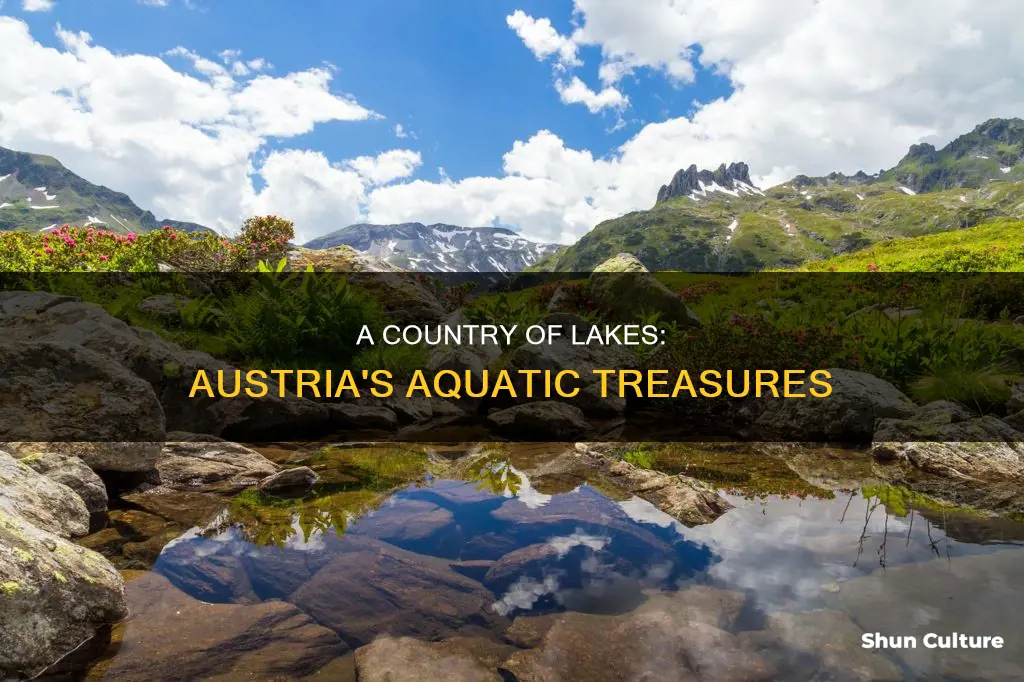 how many lakes are in austria