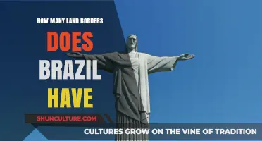 Exploring Brazil's Land Borders: How Many Neighbors Does It Share?