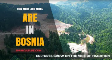 Bosnia's Hidden Threat: The Lingering Danger of Land Mines