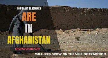 A Deadly Legacy: Afghanistan's Hidden Landmine Crisis