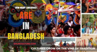 Exploring Bangladesh's Linguistic Diversity: How Many Languages Are Spoken?
