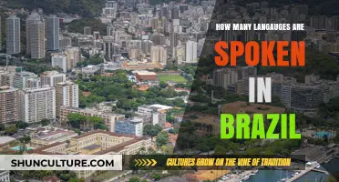 Exploring Brazil's Linguistic Diversity: Languages Spoken Across the Nation