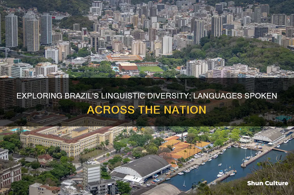 how many langauges are spoken in brazil