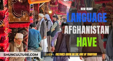 The Linguistic Diversity of Afghanistan: Unraveling a Complex Cultural Tapestry