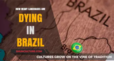 Brazil's Linguistic Crisis: The Vanishing Indigenous Languages and Their Legacy