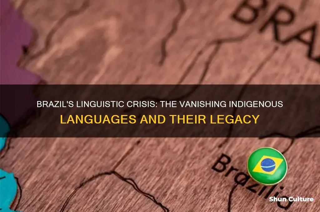 how many languages are dying in brazil