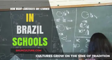 Exploring Language Education: How Many Languages Are Taught in Brazilian Schools?