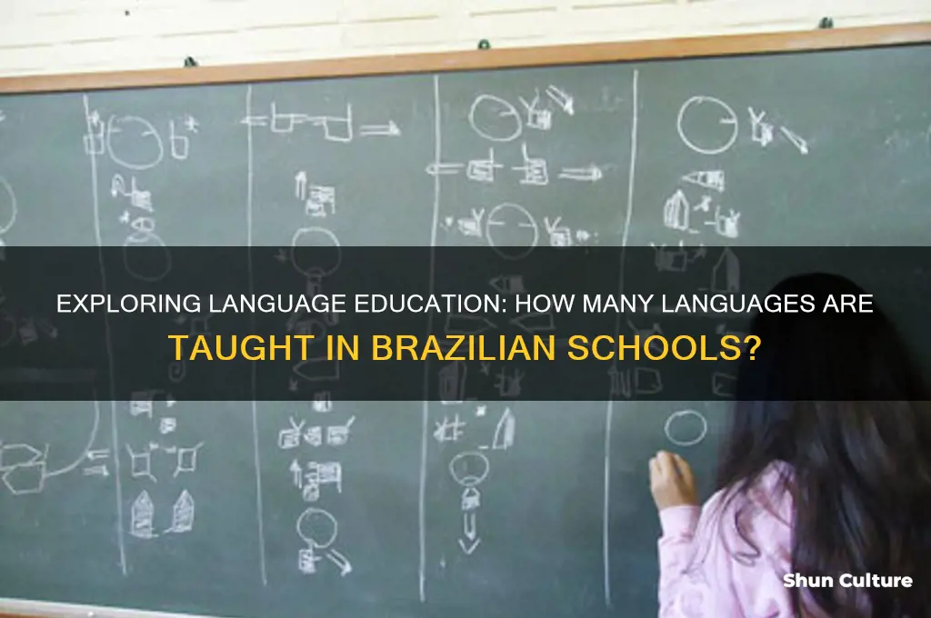 how many languages are learned in brazil schools