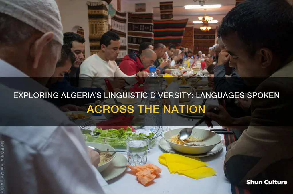 how many languages are spoken in algeria