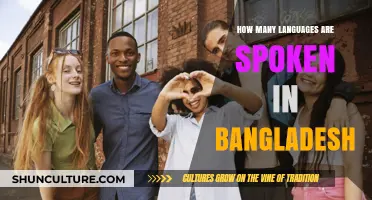 Exploring the Rich Linguistic Diversity of Bangladesh's Spoken Languages