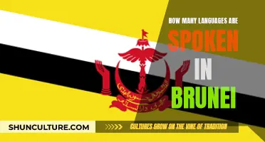 Exploring the Linguistic Diversity of Brunei: Many Languages, One Nation