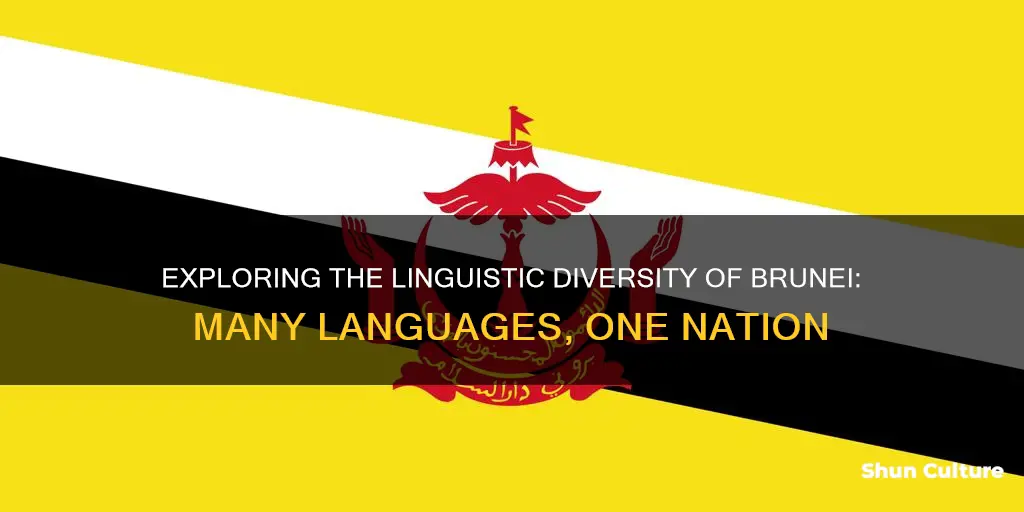 how many languages are spoken in brunei