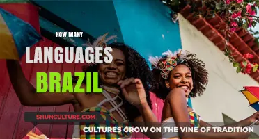 Exploring Brazil's Linguistic Diversity: How Many Languages Are Spoken?