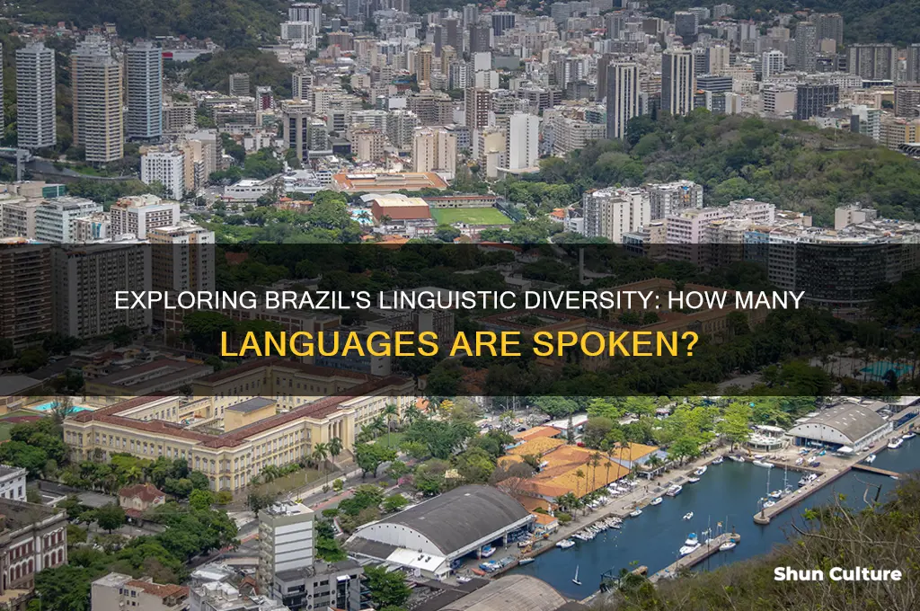 how many languages brazil