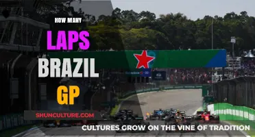 How Many Laps Does the Brazilian Grand Prix Circuit Require?