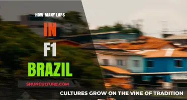 F1 Brazil Grand Prix: Unveiling the Total Laps Count