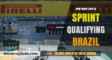 Sprint Qualifying Laps in Brazil: A Comprehensive Guide for F1 Fans