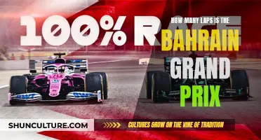 Lap Count Secrets: Bahrain Grand Prix Explained