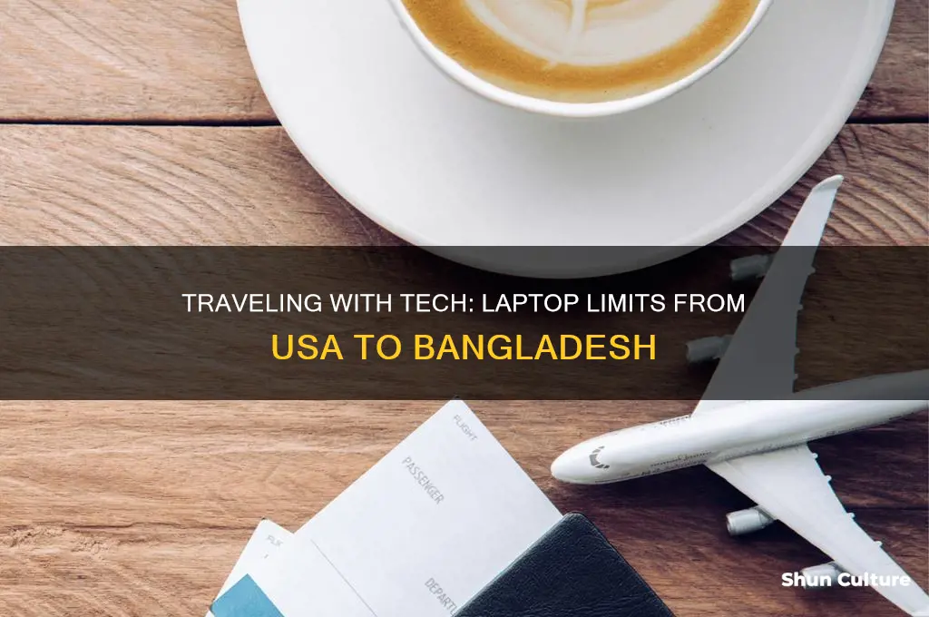 how many laptop can I carry from usa to bangladesh