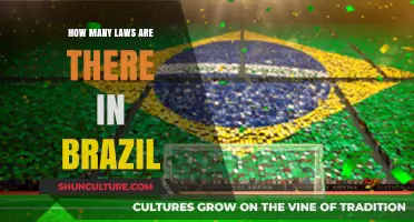 Exploring Brazil's Legal Landscape: Understanding the Vast Number of Laws