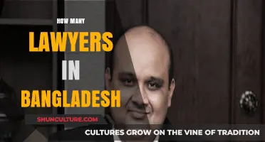 Exploring the Legal Profession: How Many Lawyers Are in Bangladesh?