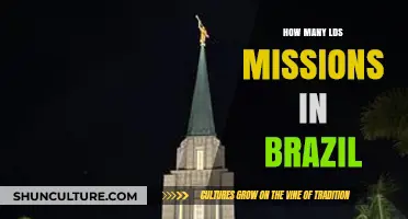 Exploring the Extensive Network of LDS Missions Across Brazil