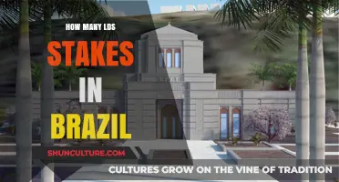 Exploring the Growth of LDS Stakes Across Brazil's Regions