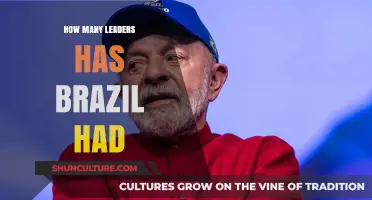 Exploring Brazil's Presidential History: A Comprehensive Leader Count