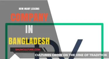 Exploring the Leasing Sector: How Many Companies Operate in Bangladesh?