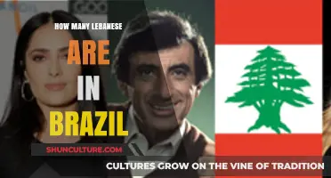 Exploring the Lebanese Diaspora: Population Insights in Brazil