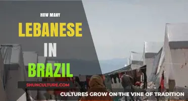 Exploring the Vibrant Lebanese Community in Brazil: Population Insights