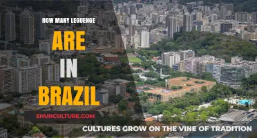 Exploring Brazil's Linguistic Diversity: How Many Languages Are Spoken?