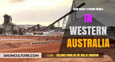 Lithium Mines in Western Australia: A Count and Overview