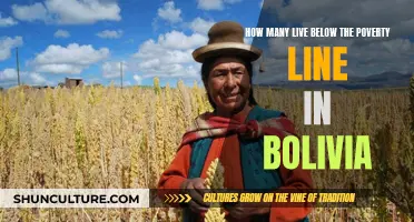 Poverty in Bolivia: Millions Living Below the Line