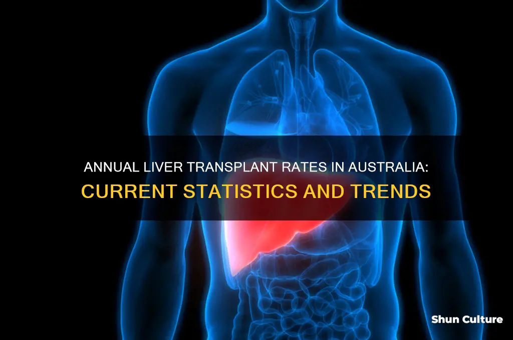 how many liver transplants per year in australia