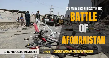 The Human Cost of War: Reflecting on the Lives Lost in Afghanistan's Conflict