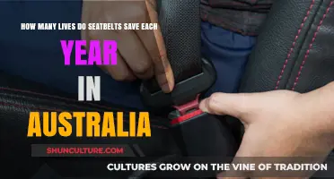 Seatbelts: Australia's Annual Lifesaver Count and Road Safety Impact