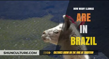 Exploring Brazil's Llama Population: Surprising Facts and Figures