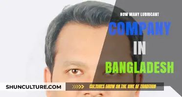 Exploring Bangladesh's Lubricant Industry: A Comprehensive Company Count Guide
