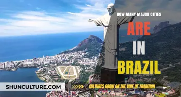 Exploring Brazil's Urban Landscape: Major Cities and Their Significance