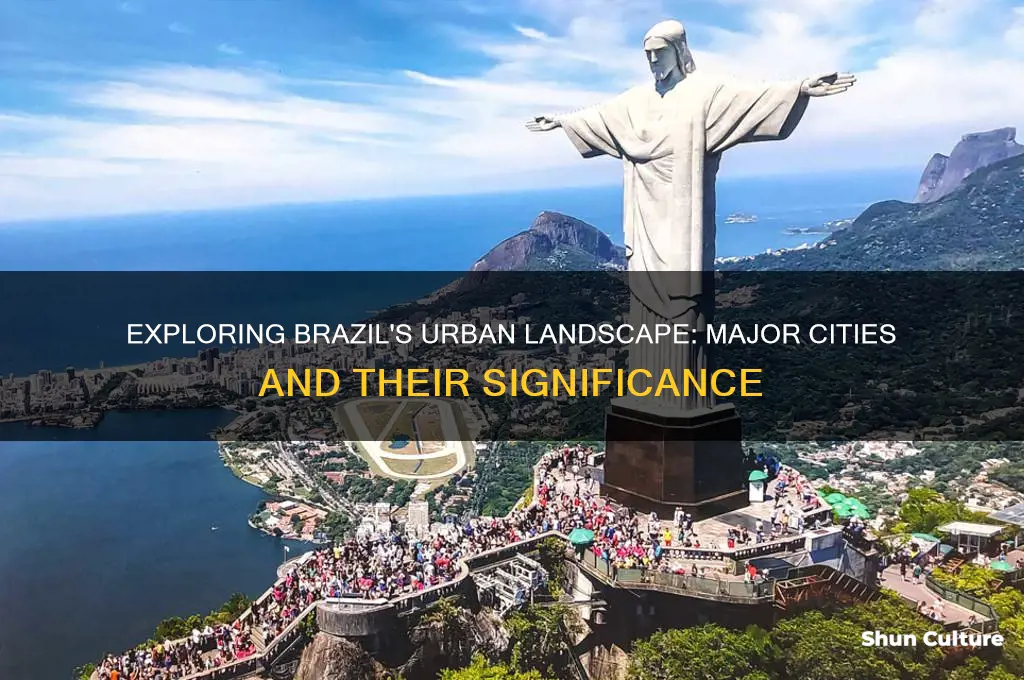 how many major cities are in brazil