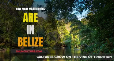 The Rivers of Belize: A Natural Wonder