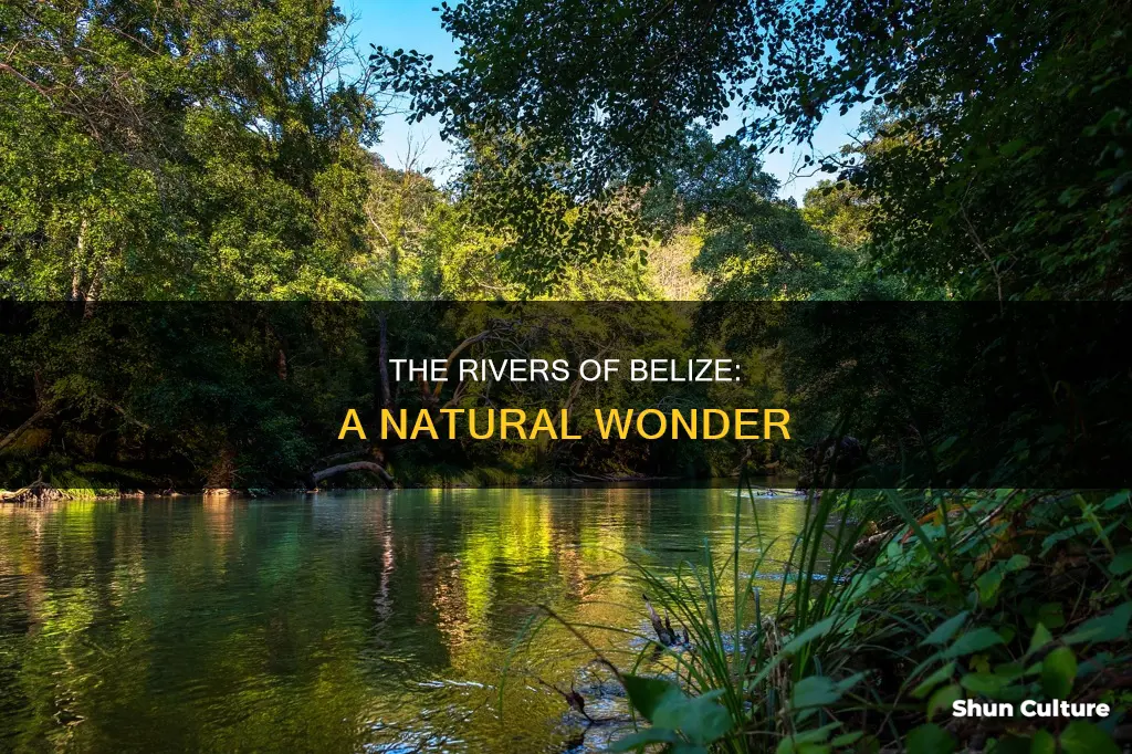 how many major rivers are in belize