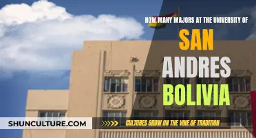 Exploring the University of San Andres, Bolivia's Majors