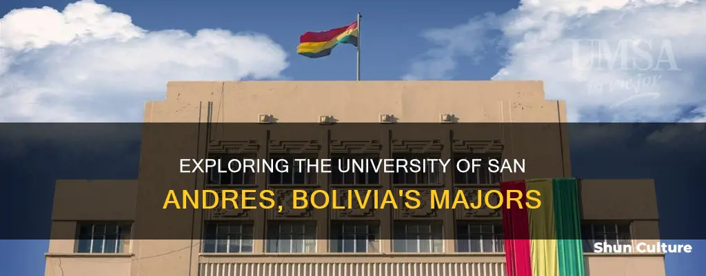 how many majors at the university of san andres bolivia