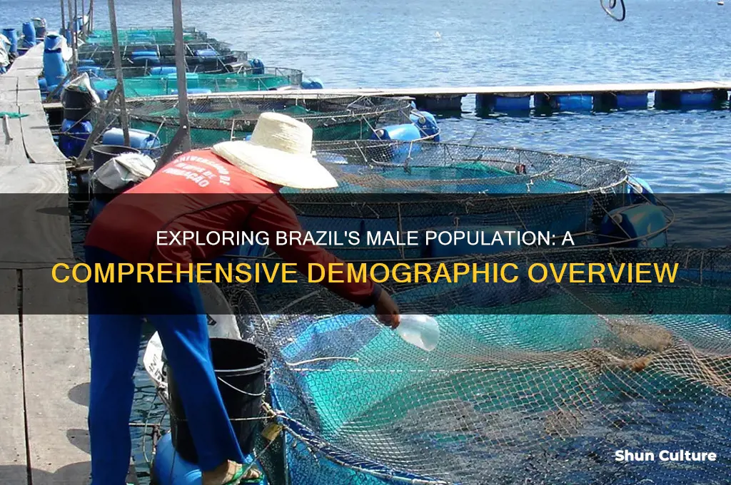 how many males are in brazil