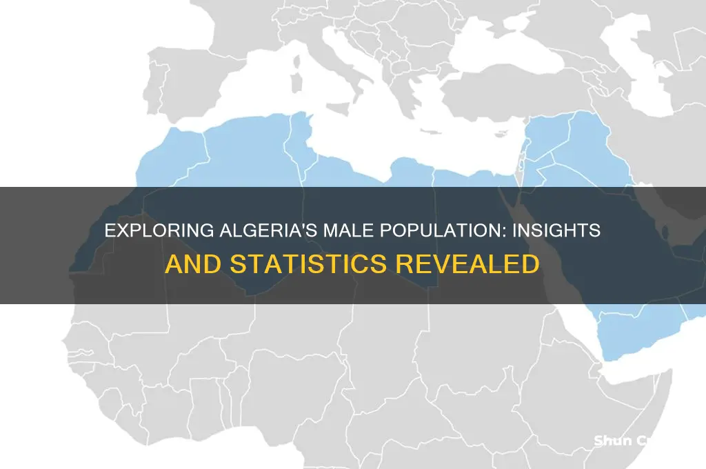 how many males live in algeria