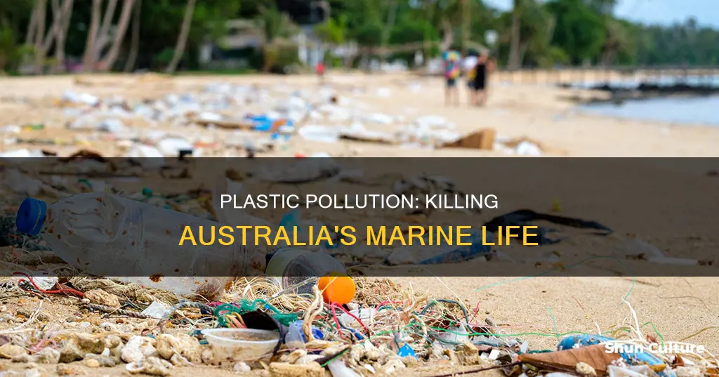 how many marine animals die from plastic in australia