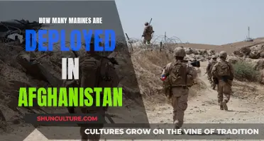 The Enduring Presence: Examining the Marine Deployment in Afghanistan