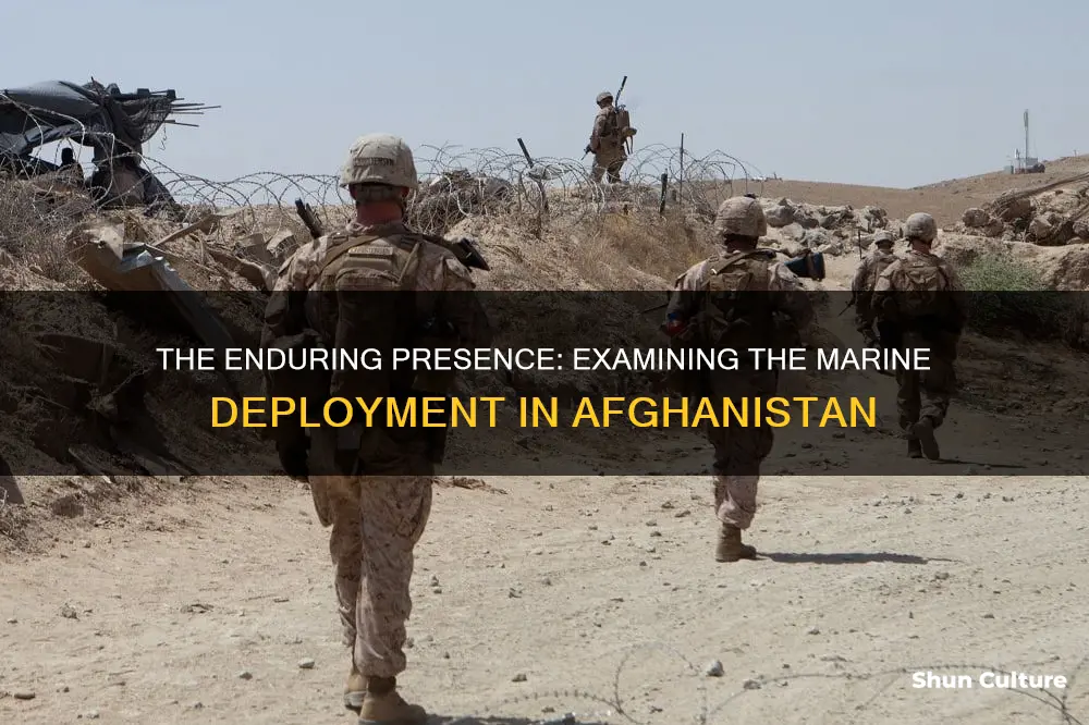 how many marines are deployed in afghanistan